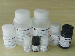 Human nuclear factor-κB p65,NF-κB p65 ELISA Kit Human nuclear factor-κB p65,NF-κB p65 ELISA Kit