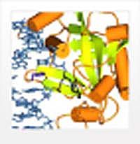 pUC19 DNA/MspI (HpaII) Marker, 23