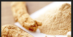 Ginseng extract, ginseng, ginseng products Ginseng extract, ginseng, ginseng products