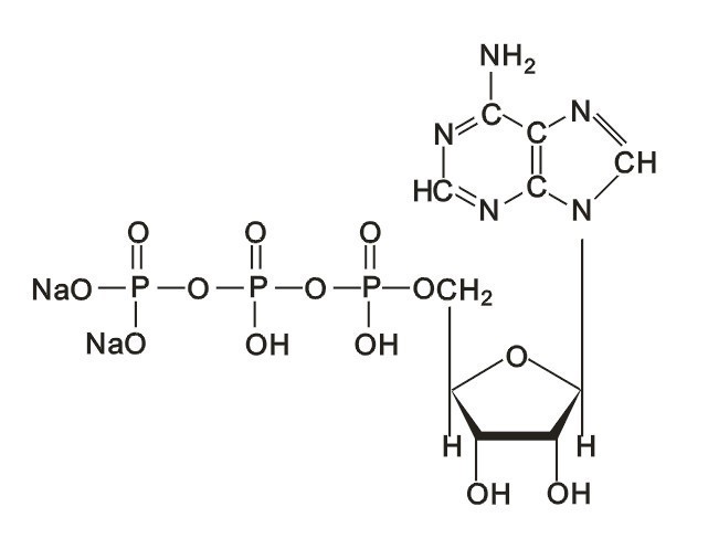 Adenosine Triphosphate Disodium Adenosine Triphosphate Disodium