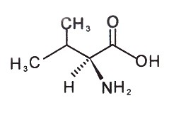 L-Valine L-Valine