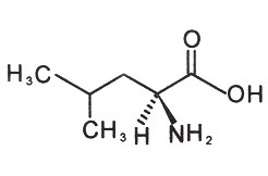 L-Leucine