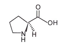 L-Proline L-Proline