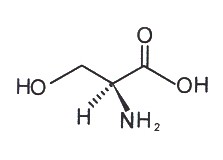 L-Serine L-Serine