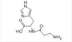 L-Carnosine L-Carnosine