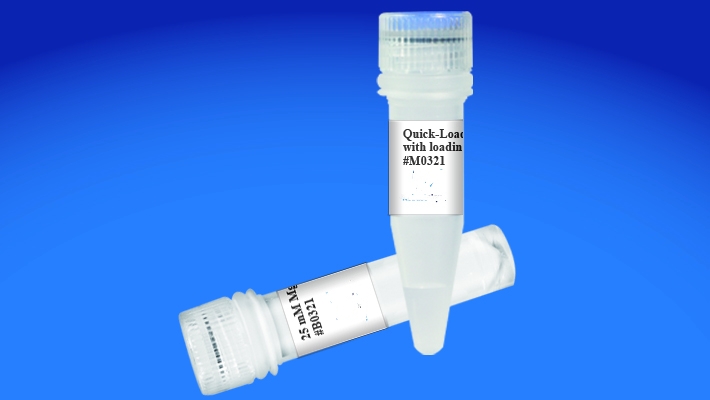 Quick-Load Taq 2× Master Mix(without loading dye) Quick-Load Taq 2× Master Mix(without loading dye)