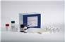 Mouse Procalcitonin,PCT ELISA Kit Mouse Procalcitonin,PCT ELISA Kit