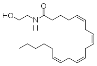 AEA (anandamide)