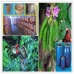 Abrus Precatorius Extract Abrus Precatorius Extract