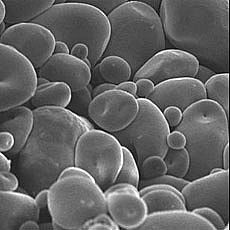 Acetylated distarch adipate