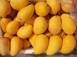 African Mango Extract African Mango Extract
