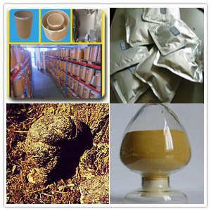 Agaric extract(Polyporus Extract) Agaric extract(Polyporus Extract)