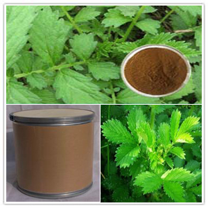 Agrimory Extract