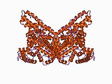 Albumin Albumin