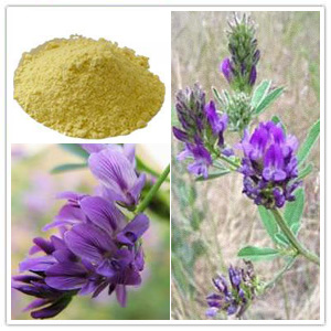 Alfalfa Extract Alfalfa Extract