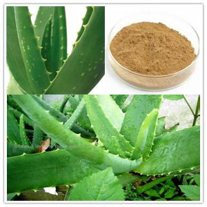 Aloe Barbadensis Extract Aloe Barbadensis Extract