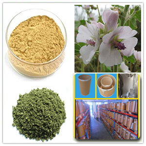 Althaea officinalis Althaea officinalis