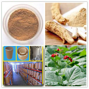 American Ginseng root extract