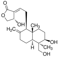 Andrographolide Andrographolide