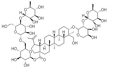 Anemoside B4