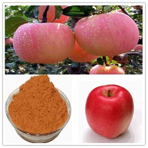 Apple Extract Apple Extract