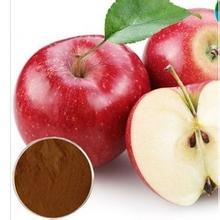 Apple Polyphenols