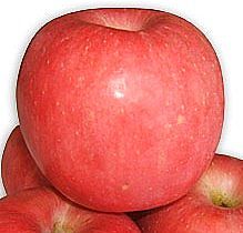 Apple fiber