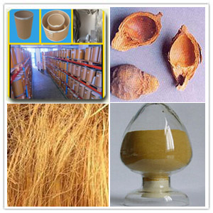 Areca Peel Extract Areca Peel Extract