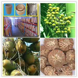 Areca seed Extract(Semen Arecae Extract) Areca seed Extract(Semen Arecae Extract)