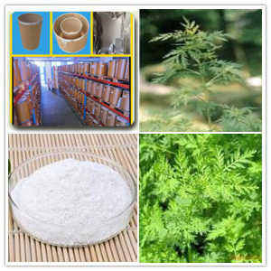 Arteannuin extract Arteannuin extract