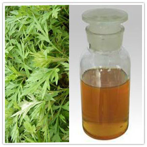 Artemisia argyi oil