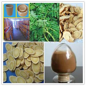 Astragalus Membranaceus Extract Astragalus Membranaceus Extract