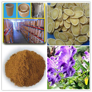 Astragalus extract