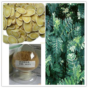 Astragalus root extract Astragalus root extract