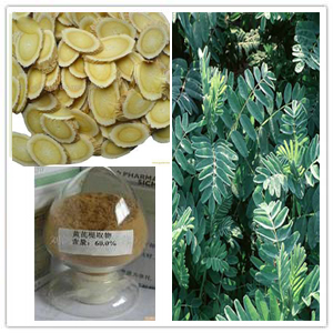 Astragalus root extract