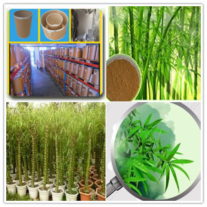 Bambusa Vulgaris Extract Bambusa Vulgaris Extract