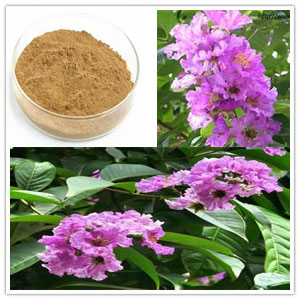 Banaba leaf Extract Banaba leaf Extract