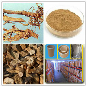 Baphicacanthus Root Extract Baphicacanthus Root Extract