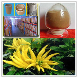 Bergamot extract Bergamot extract