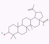 Betulinaldehyde