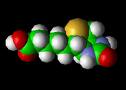 Biotin Biotin