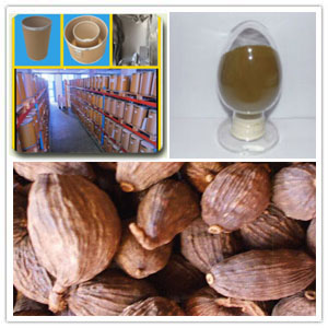 Black Cardamom Extract Black Cardamom Extract