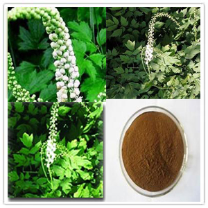 Black Cohosh Extract Black Cohosh Extract