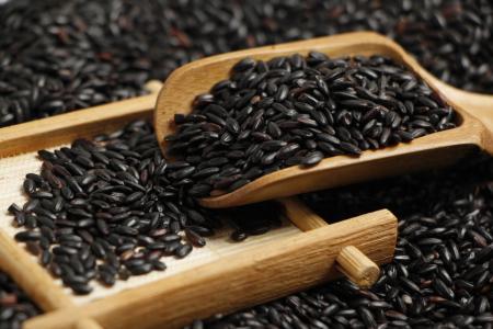 Black Rice Extract(Black rice anthocyanin)