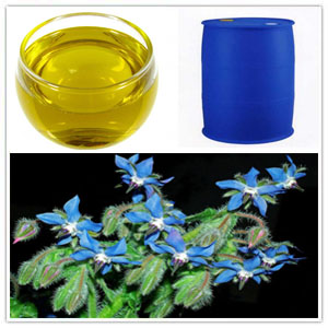Borage seed oil extract Borage seed oil extract