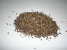 Brown Cardamom