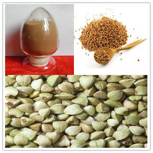 Buckwheat extract Buckwheat extract
