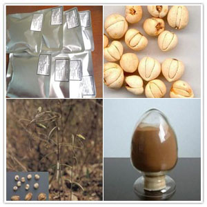 Bulbus fritillariae cirrhosae extract Bulbus fritillariae cirrhosae extract