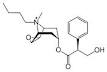 Butylscopolamine