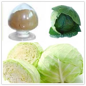 Cabbage Extract Cabbage Extract